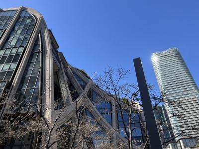 2025年2月、東京麻布台ヒルズ：森ビル：チームラボ・ボーダレス（東京）