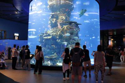 孫と一緒に“シンガポール”３泊４日の旅へ！　№１　１～２日目