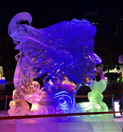 極寒のハルビンへ、朝6時発の飛行機で行ってみた。楽しみにしてた氷雪大世界は入れず、残念。前半。