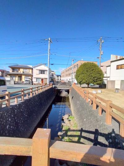 ☆ 極寒の静岡 伊豆長岡温泉と箱根 ☆ 2025年2月 伊豆長岡金城館No. 1