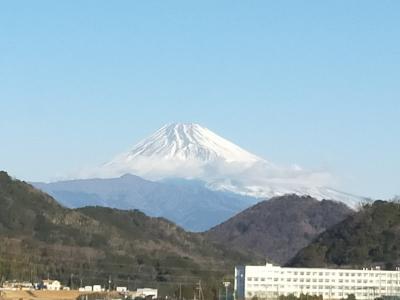 ☆ 極寒の静岡 伊豆長岡温泉と箱根 ☆ 2025年2月 サンバレーアネックスと富士見 No.2 
