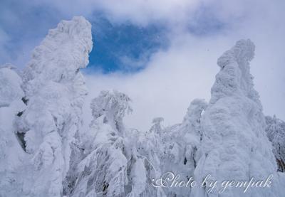 この冬初めての雪景色を求めて蔵王方面へ　その２　蔵王の樹氷