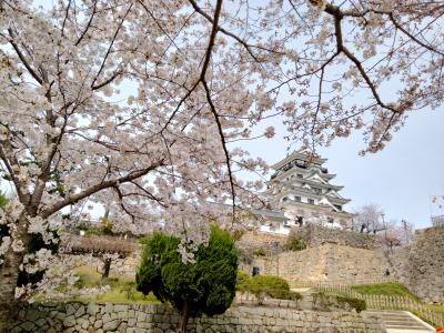 福山城、千光寺公園、西國寺の桜