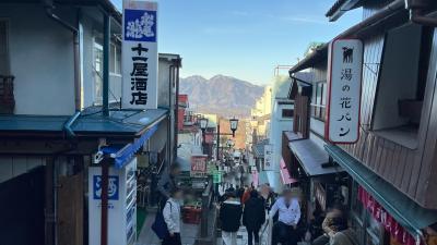 伊東園ホテルってほんとのとこ、どうなの？伊香保温泉とどろきの訳あり2.5畳洋室に泊まってきました。