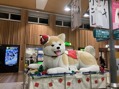 新18きっぷ①（東京→新潟→秋田）