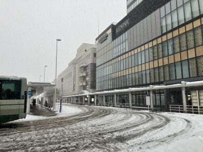 新18きっぷ②（青森→函館→札幌）