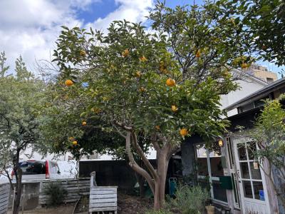 兵庫さんぽ♪　淡路島　洲本を歩きます♪♪　レトロな街並みと歴史のある洲本♪♪
