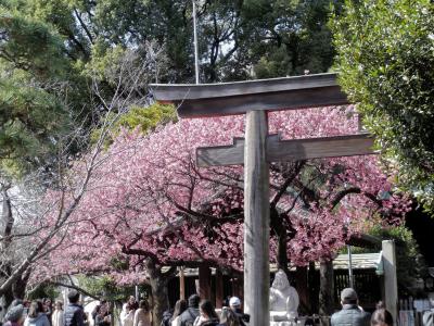 川崎から舞浜迄サイクリングで、色々寄り道