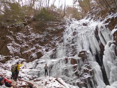 裏六甲の七曲の滝へ氷瀑を愛でに行く。