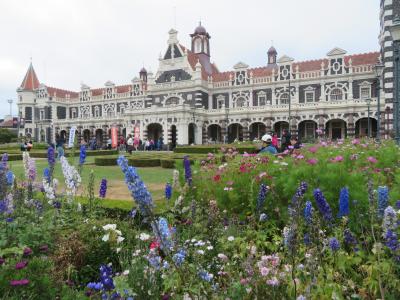 クラウン・プリンセスで巡るシドニー発着ニュージーランド周遊クルーズ④ダニーデン編