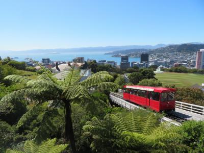 クラウン・プリンセスで巡るシドニー発着ニュージーランド周遊クルーズ⑥ウエリントン編