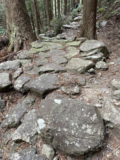 2025年02月　熊野古道ハイキング　伊勢路２　ツヅラト峠道
