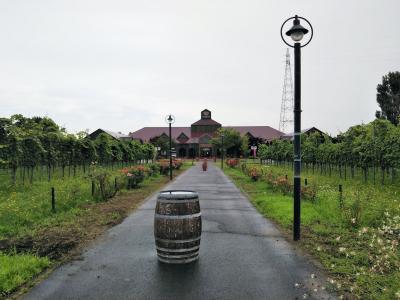 洋館巡りとさくらんぼ6.高畠でワイナリー見学