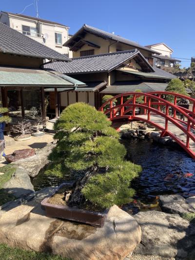 素晴らしかった国風盆栽展と春光園盆栽美術館を見学する