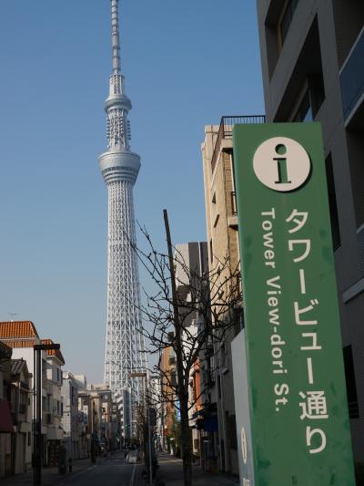 下町の錦糸公園にある王貞治さんの展示コーナーとタワービュー通りを訪れて 2025  