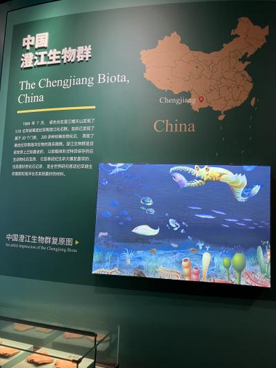 2025年1月  中国東方航空で行く昆明①　澄江の化石産地