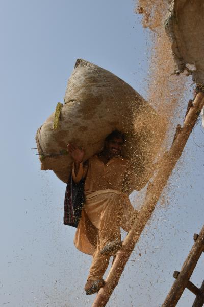 『夕日・朝日』『朝霧のモヘンジョダロ遺跡』『煙る煉瓦工場』『デコトラ籾殻積込現場』など&quot;パキスタン南部はみどころいっぱい&quot;【南部編NO4】