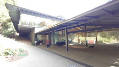 明治神宮ミュージアム、太田記念美術館、サントリー美術館