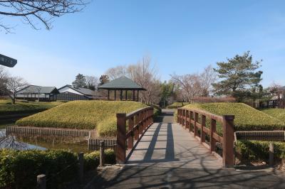 &#127983;難波田城 と &#128026;水子貝塚