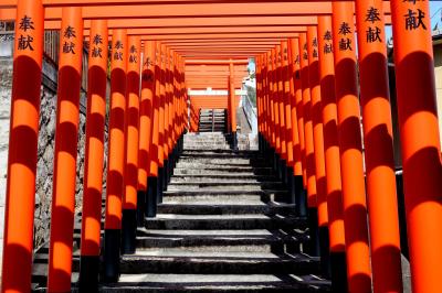 三原のまちなかのお寺を行く