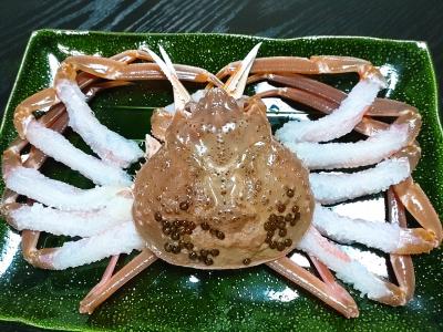 練りに練った計画が大雪で２度の変更　なんとか行けた！！冬の味覚と鉄印の旅《鳥取編》－前編