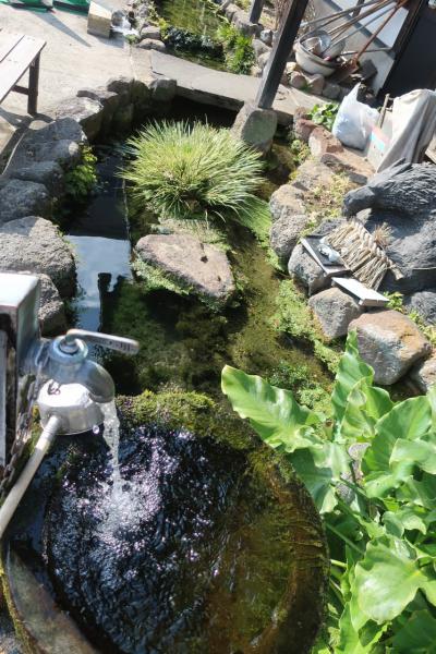 【熊本・長崎・福岡周遊１週間　有名どころから隠れた名所まで】その５　島原散策
