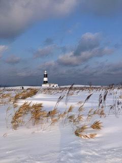 網走バス1日観光