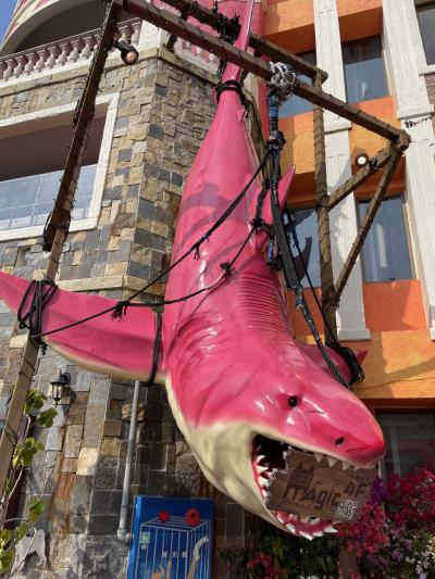 10回目の沖縄旅1日目