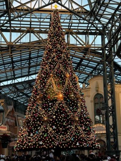 2024年11月☆久しぶりのディズニーランド訪問記