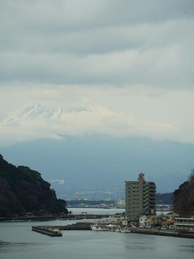 2025.2伊豆旅　土肥桜と松濤館で過ごす優雅な時間