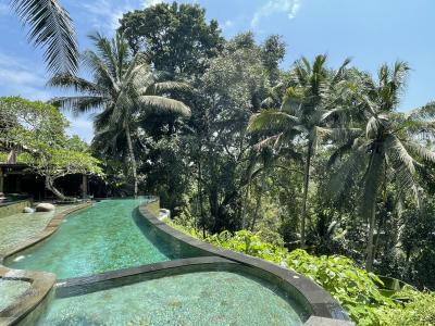 ２度目のバリ島　その４　ウブド　ブクビュー・リゾートに泊まる