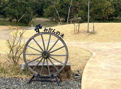 2025冬 南紀 1:雑賀崎、海南、有田、湯浅