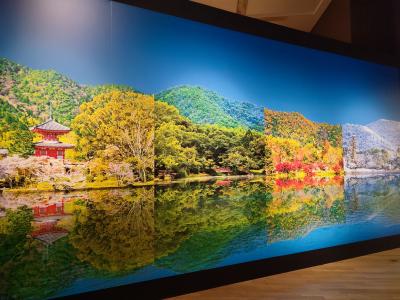 【上野・銀座散歩】国立科学博物館で鳥展（2回目）・国立博物館で大覚寺展・銀ブラ・日産ギャラリー他