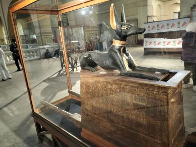 エジプトひとり旅@2024.12~2025.1【7日目】アレクサンドリア→カイロ観光