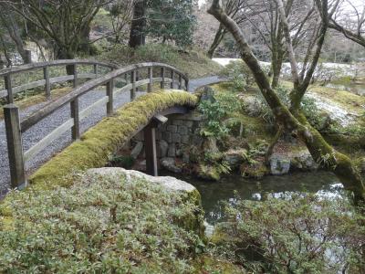 厳寒の京都仙洞御所。(1)コケがきれいだった。