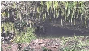アラ還夫婦の世界一周旅行　36～37日目
