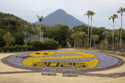 ちょっと花は少なかったけれど野和太鼓のコンサートが素晴らしかったかごしまフラワーパーク