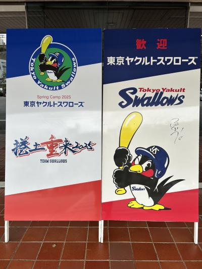 2025沖縄キャンプinヤクルト