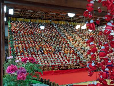 可睡斎のお雛様　圧巻です。