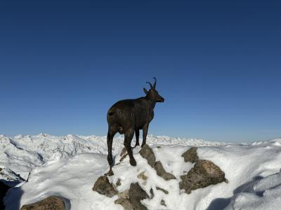 2025、1~2月ヨーロッパスキー&ザルツブルグ、コルマール その5オーバーグルグル