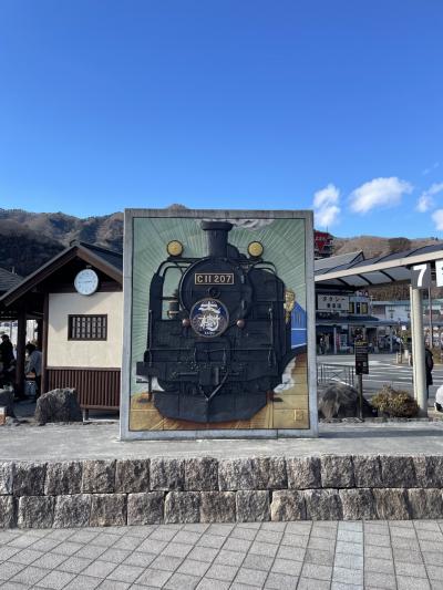 アラカン女子の鬼怒川温泉旅