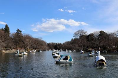 寒波の井の頭公園