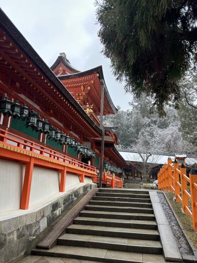３人の子持ち1人親(父)の旅～雪の奈良を散策～