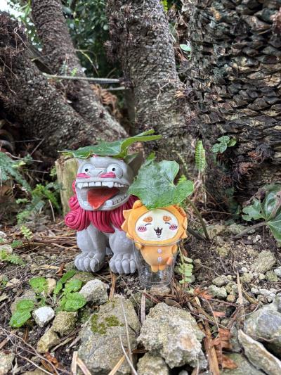 今年は家族で3泊4日沖縄旅行