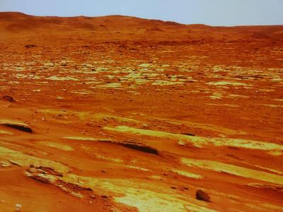 NHK超体験とうたコン拡大版