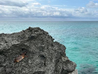 結婚２５周年の記念に初の宮古島へ②