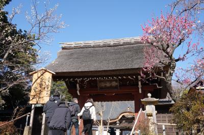 20250224-4 調布 深大寺お参りに。一回りしてから…そ言えば神代植物公園で見過ごしがあったような…