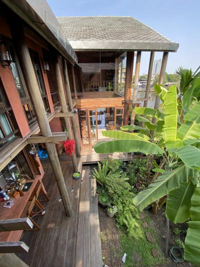 タイ・バンコク ネコのいるホテルでくつろぐ旅…1