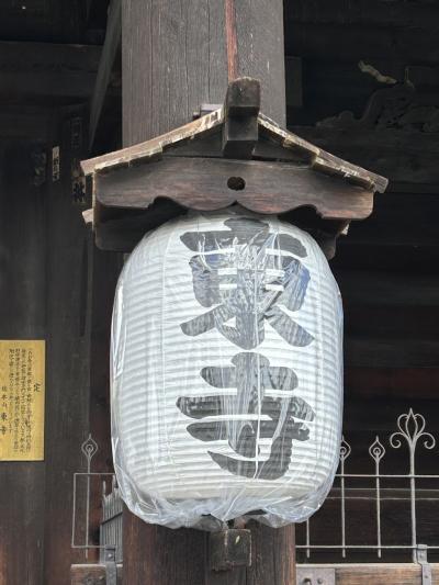 久しぶりの関西出張！お天気にも恵まれたけど、出張なんでグルメは楽しめずプチ観光のみ(^_^;)