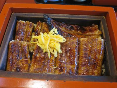 2025年2月 南九州3泊4日湯治の旅<1日め>指宿温泉